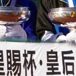 岩手国体　１０月２〜５日　北上市